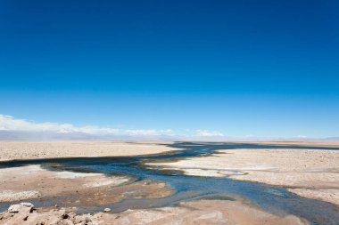 Flamingo doğal rezervi, Şili. San Pedro de Atacama, Los Flamencos Ulusal Rezervi