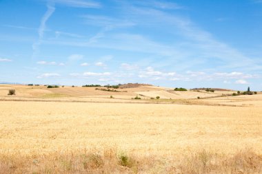 Kastilya ve Leon bölgesi kırsal kesim, İspanya. İspanyol sahaları