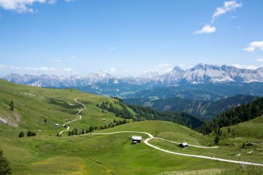 Dolomites çayırları, Sass de Putia bölgesi. İtalyan Alpleri