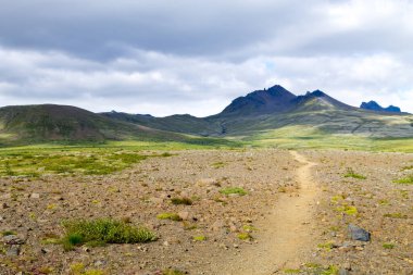 Skaftafell Ulusal Parkı manzarası, İzlanda simgesi. İzlanda Panoraması