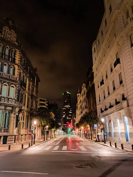 Bilbao gece görüşü. Eski saray görüşü, İspanya. İspanyol simgesi