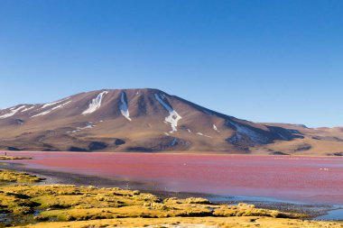 Laguna Colorada landscape,Bolivia. Beautiful bolivian panorama. Red water lagoon clipart