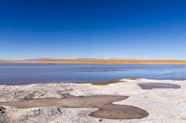 Bolivya lagün manzarası, Bolivya. Kollpa Kkota göl manzarası. Collpa Laguna