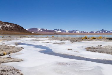 Bolivian lagoon landscape, Aguas Termales de Polques,Bolivia. clipart