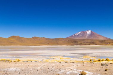 Laguna Hedionda manzarası, Bolivya. Güzel bir Bolivya panoraması. Mavi su gölü