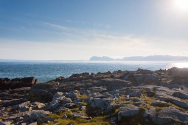 Hvalnes lav plajı manzarası, doğu İzlanda. İzlanda manzarası