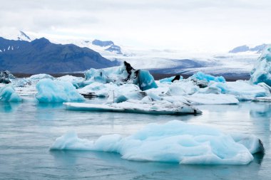 Jokulsarlon Buzul Gölü, İzlanda. Suda yüzen buzdağları. İzlanda manzarası