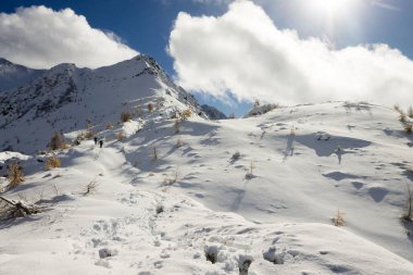 Sonbahar elbisesi içinde karla kaplı karlar. Dağ manzarası