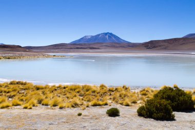 Laguna Honda manzarası, Bolivya. Güzel bir Bolivya panoraması. Mavi su gölü