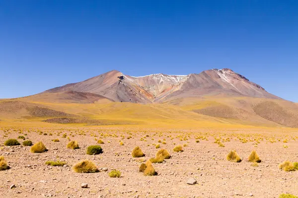 Bolivya Dağları manzarası, Bolivya. Andean Platosu manzaralı. Volkan manzaralı.