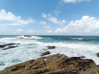 Verdicio plaj manzarası. Asturias kıyı şeridi panoraması, İspanya. İspanyol manzarası