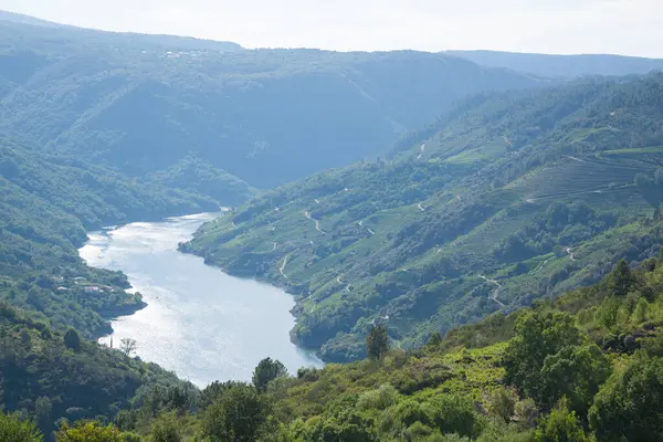 Ribeira Sacra güzel manzara, Galiçya, İspanya panorama.