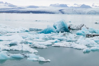 Jokulsarlon Buzul Gölü, İzlanda. Suda yüzen buzdağları. İzlanda manzarası