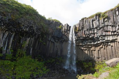 Svartifoss falls in summer season view, Iceland. Icelandic landscape. clipart