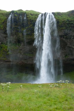 Seljalandsfoss yaz sezonunda İzlanda 'ya düşer. İzlanda manzarası.