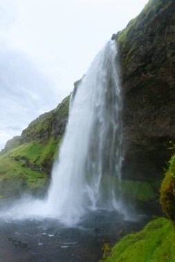 Seljalandsfoss yaz sezonunda İzlanda 'ya düşer. İzlanda manzarası.