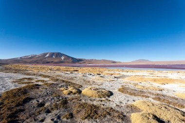 Laguna Colorada manzarası, Bolivya. Güzel bir Bolivya panoraması. Kırmızı su gölü