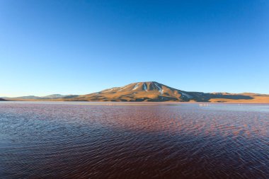 Laguna Colorada landscape,Bolivia. Beautiful bolivian panorama. Red water lagoon clipart