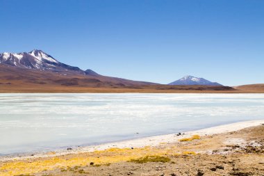 Laguna Hedionda manzarası, Bolivya. Güzel bir Bolivya panoraması. Mavi su gölü