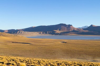 Bolivian landscape, Morejon lagoon view, Bolivia. Andes plateau clipart