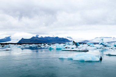 Jokulsarlon Buzul Gölü, İzlanda. Suda yüzen buzdağları. İzlanda manzarası