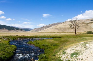 Landscape from Altai Tavan Bogd National Park, Mongolia. Isolated tree and stream clipart