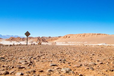 Şili manzarası, Ay Vadisi 'ndeki toprak yol. Şili Panoraması