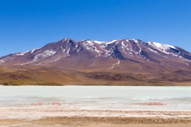 Laguna Hedionda manzarası, Bolivya. Güzel bir Bolivya panoraması. Mavi su gölü