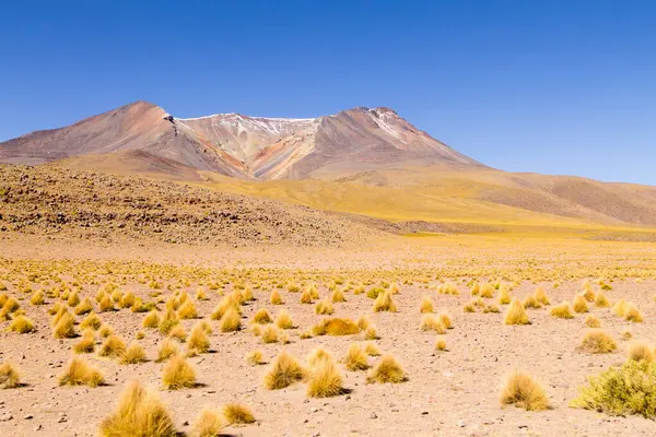 Bolivya Dağları manzarası, Bolivya. Andean Platosu manzaralı. Volkan manzaralı.