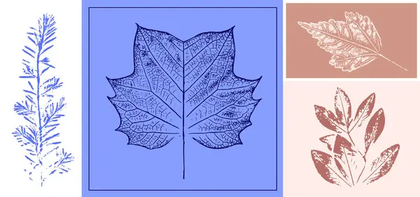 Dekoratif yaprak çizimi ve tahta blok izleri. Monoton pembe ve mavi botanik ağaç halkaları ve iz bırakır.