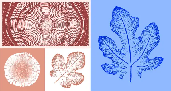 Dekoratif yaprak çizimi ve tahta blok izleri. Monoton pembe ve mavi botanik ağaç halkaları ve iz bırakır.