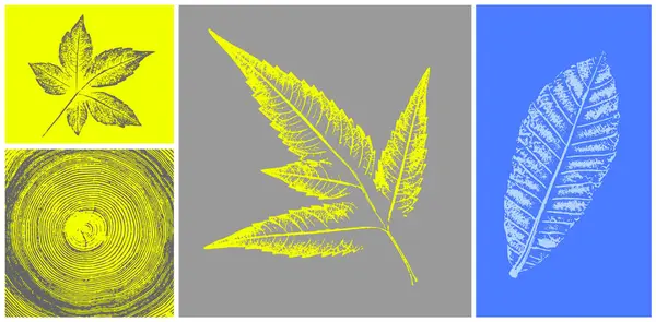 Dekoratif yaprak siluet izleri ve tahta blok izleri. Monoton floresan sarı ve gri botanik ağaç halkaları iz bırakır..