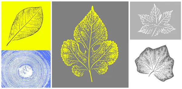 Dekoratif yaprak siluet izleri ve tahta blok izleri. Monoton floresan sarı ve gri botanik ağaç halkaları iz bırakır..