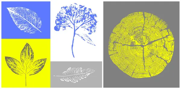 Dekoratif yaprak siluet izleri ve tahta blok izleri. Monoton floresan sarı ve gri botanik ağaç halkaları iz bırakır..