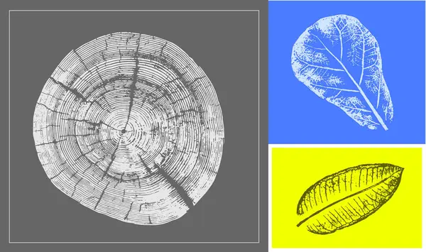 Dekoratif yaprak siluet izleri ve tahta blok izleri. Monoton floresan sarı ve gri botanik ağaç halkaları iz bırakır..