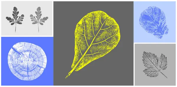 Dekoratif yaprak siluet izleri ve tahta blok izleri. Monoton floresan sarı ve gri botanik ağaç halkaları iz bırakır..