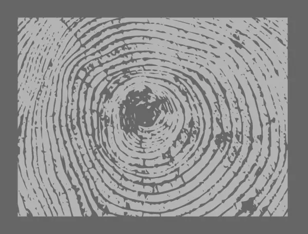 Siyah beyaz ve gri monoton. Kaliteli ahşap levhanın ucunda. Ağaç halkaları sanat eseri ve çatlak yüzey.