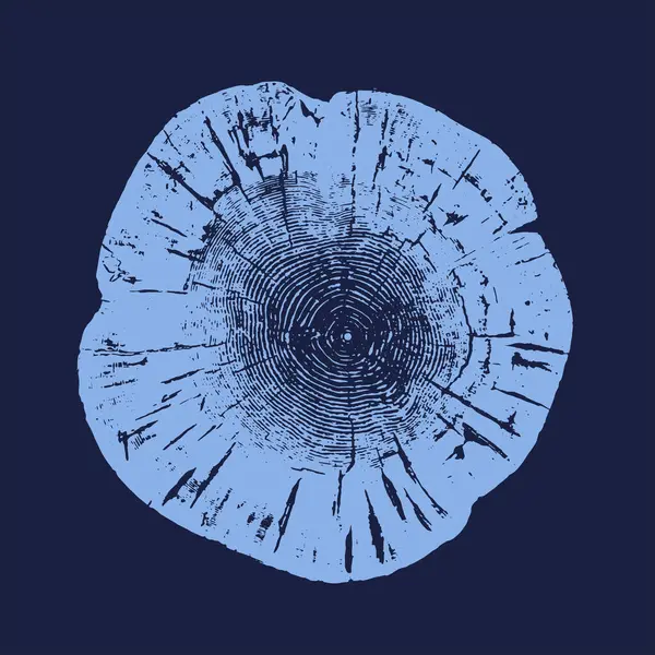 Monoton mavi botanik ağaç halkaları ahşap bir tahtanın ucunda. Doku ve çatlak yüzeyli büyüme halkaları. Mavi Ağaç Halkaları 1