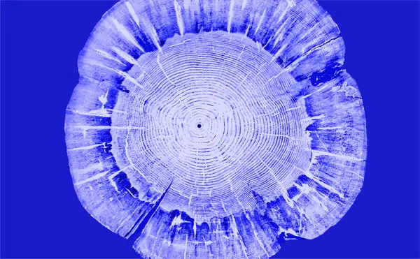 Monoton pembe ve mavi botanik ağaç halkaları. Büyüme halkaları sanat dokusu ve çatlak yüzey.