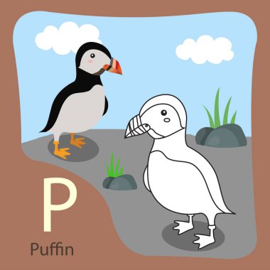 Martı ressamı izole edilmiş ve renklendirilmiş