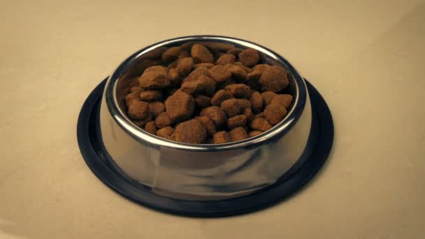 Покласти Собаку Їжу Миску Постріли — стокове відео