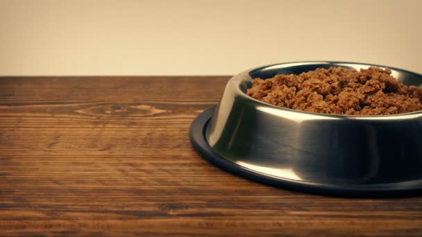 ボールの中の犬の食べ物の移動ショット — ストック動画