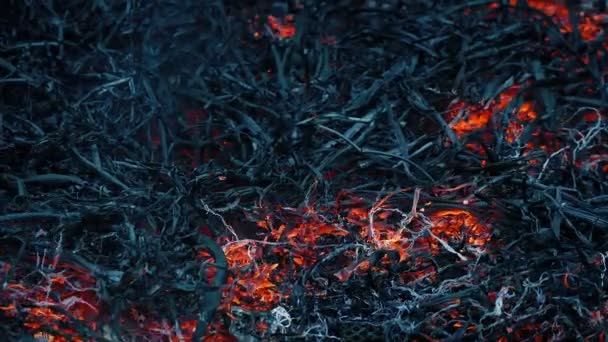 Ateş Yanmaya Parıldayan Yakın Çekime Devam Ediyor — Stok video