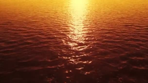 Flying Ocean Sunset — Stock Video