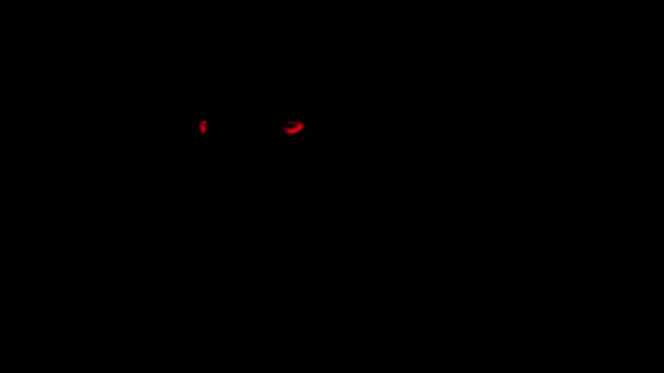 黑暗猎食动物中可怕的红色动物眼睛 — 图库视频影像