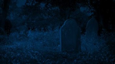 Gece vakti Tombstone 'lu Eski Aşırı Büyümüş Mezarlık