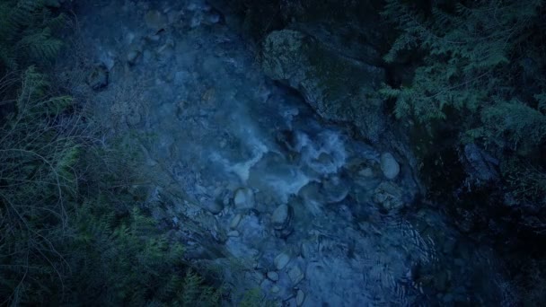 Akşamları Bir Dağ Nehrinin Üzerinde — Stok video