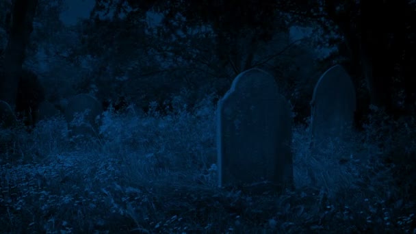 Starý Zarostlý Hřbitov Náhrobky Noci — Stock video