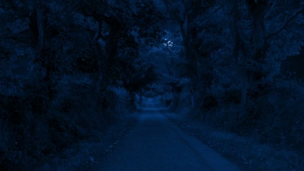 Місяць Листяній Сільській Дорозі Вночі — стокове відео