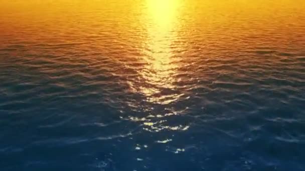 Latanie Nad Morzem Zachodzie Słońca — Wideo stockowe